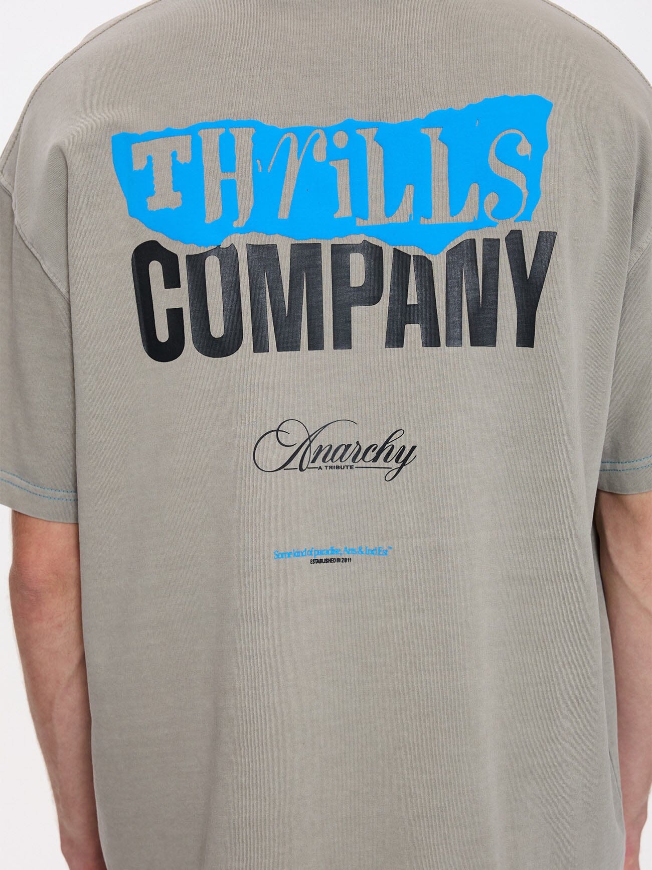 Total Anarchy Box Fit Cropped Tee - Fog - Image 2