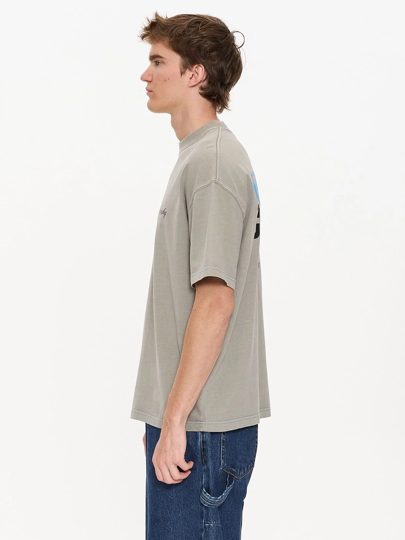 Total Anarchy Box Fit Cropped Tee - Fog - Image 4